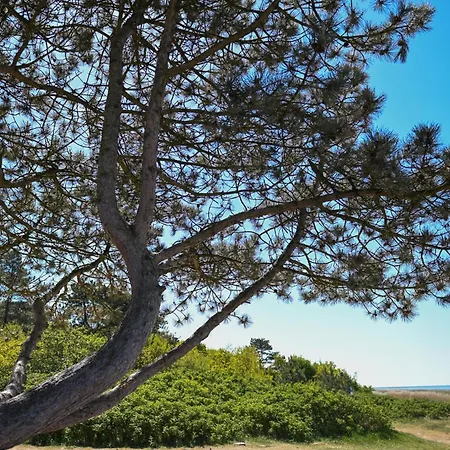 Sleep Space 1 - Tiny Spot Wernerwald بيت للعطل *